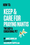 How To: Keep & Care for Praying Mantis: The Easy & Educational Pet: Pet Praying Mantis Care Guide - Paperback