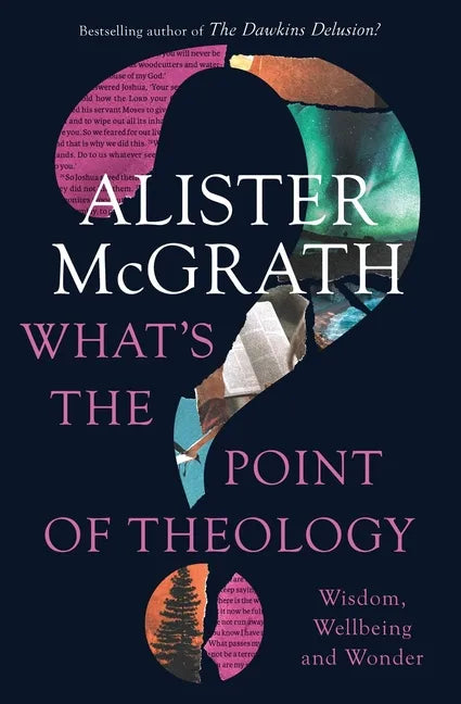 What's the Point of Theology?: Wisdom, Wellbeing and Wonder - Paperback