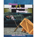 Noam Catch an Easter Bunny - Paperback