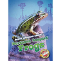 Northern Leopard Frogs - Library Binding
