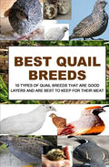 Best Quail Breeds: 10 Types Of Quail Breeds That Are Good Layers And Are Best To Keep For Their Meat - Paperback