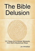 The Bible Delusion: 101 'Hang On A Minute' Moments; And God's Mysterious Ways - Hardcover