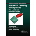Statistical Learning with Sparsity: The Lasso and Generalizations - Paperback