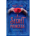 A Secret Princess - Library Binding