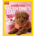 Holidays Around the World: Celebrate Valentine's Day: With Love, Cards, and Candy - Paperback