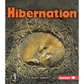 Hibernation - Paperback