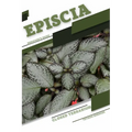 Episcia: Closed terrarium, Beginner's Guide - Paperback