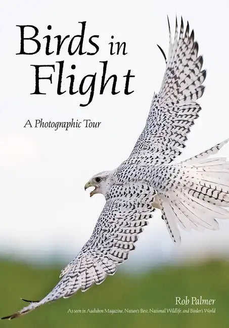 Birds in Flight: A Photographic Essay of Hawks, Ducks, Eagles, Owls, Hummingbirds, & More - Paperback