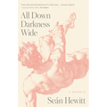 All Down Darkness Wide: A Memoir - Hardcover