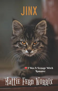 Jinx - Paperback