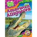American Alligators - Library Binding