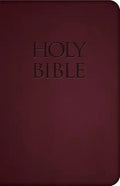 Holy Bible-Nab - Imitation Leather
