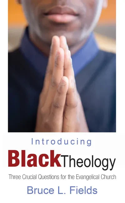 Introducing Black Theology - Hardcover
