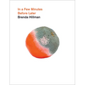 In a Few Minutes Before Later - Paperback