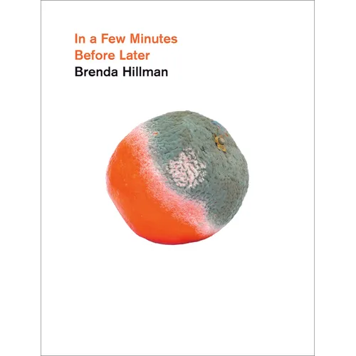 In a Few Minutes Before Later - Paperback