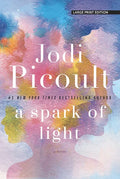 A Spark of Light - Library Binding