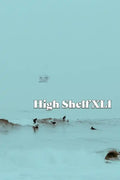 High Shelf XLI: April 2022 - Paperback