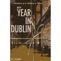 My Year in Dublin: Adventures of an American in Ireland - Paperback