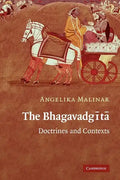 The Bhagavadgita: Doctrines and Contexts - Paperback