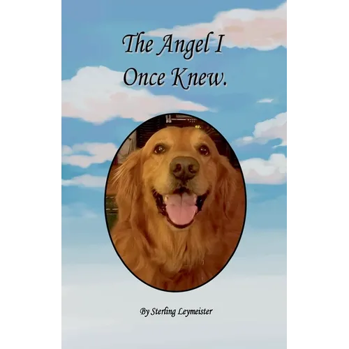 The Angel I Once Knew - Paperback