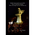 When the Lights Go Down: How To Find Inner Healing When The People You Love Abandon You - Paperback
