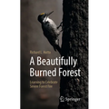 A Beautifully Burned Forest: Learning to Celebrate Severe Forest Fire - Paperback