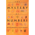 The Mystery of Numbers - Paperback