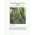 Virtual Disneyland of the Gods - Paperback