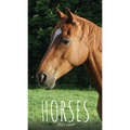Horses 2021 Diary: Slim Pocket Calendar, Monthly Planner, Date Book, Organizer, Notepad - Paperback