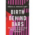 Birth Behind Bars: The Carceral Control of Pregnant Women in Prison - Paperback