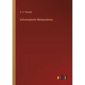 Galvanoplastic Manipulations - Paperback