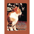 The Bean Family Tree: In English and Spanish - Hardcover