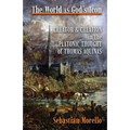 The World as God's Icon: Creator and Creation in the Platonic Thought of Thomas Aquinas - Paperback