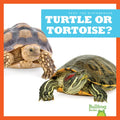 Turtle or Tortoise? - Paperback