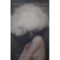 What We Did to Her Made the Water Rise - Paperback