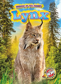 Lynx - Library Binding