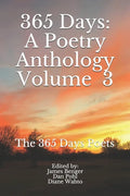 365 Days: Volume 3 - Paperback