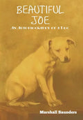 Beautiful Joe - Hardcover