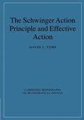 The Schwinger Action Principle and Effective Action - Paperback