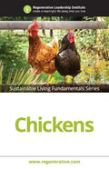 Chickens - Paperback