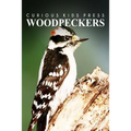 Woodpeckers - Curious Kids Press: Kids book about animals and wildlife, Children's books 4-6 - Paperback