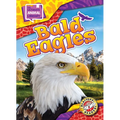 Bald Eagles - Library Binding
