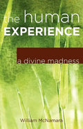 The Human Experience: A Divine Madness - Paperback