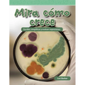 Mira Cómo Crece: Escribir, Simplificar Y Evaluar Expresiones - Paperback