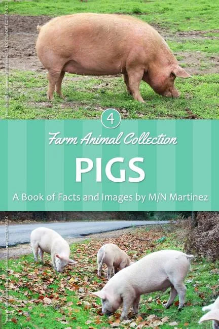 Pigs - Paperback