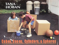 Cubes, Cones, Cylinders, & Spheres - Hardcover