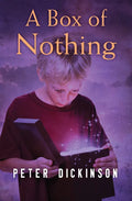 A Box of Nothing - Paperback