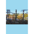 The Journal Under the Old Oak - Paperback