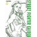 Street Fighter Gaiden, Volume 2 - Paperback