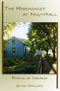 The Harmonist at Nightfall: Poems - Paperback